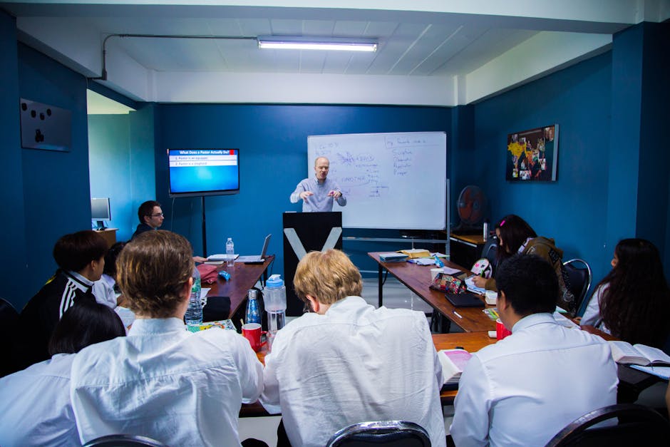 哪些商学院在可持续发展方面走在前列？