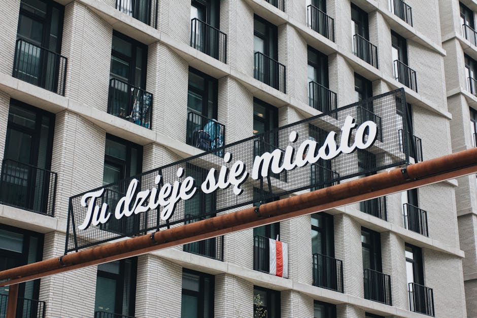 我为什么选择在新西兰求学