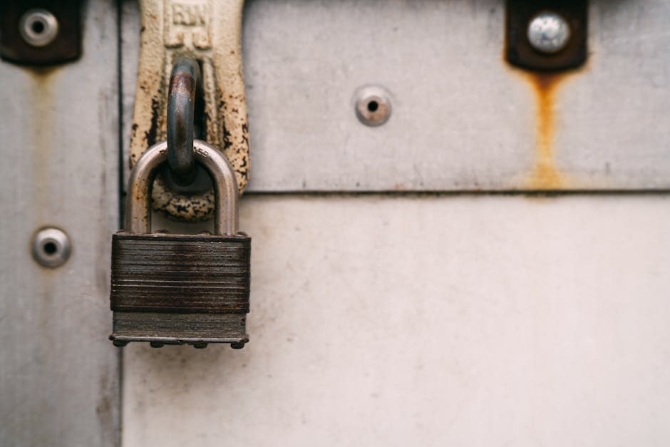 Why International Students Are Flocking To China