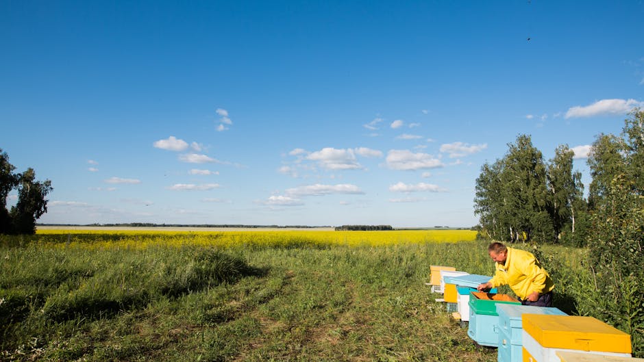 年轻名校的成功方程式