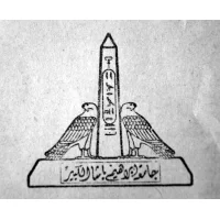 艾因夏姆斯大学 logo