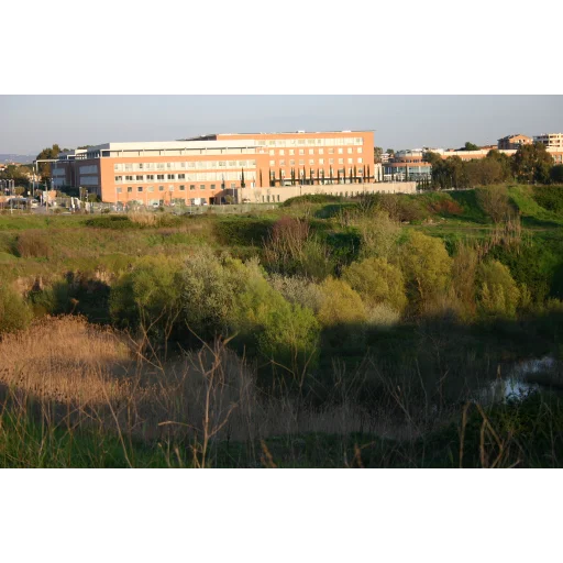 罗马生物医学大学