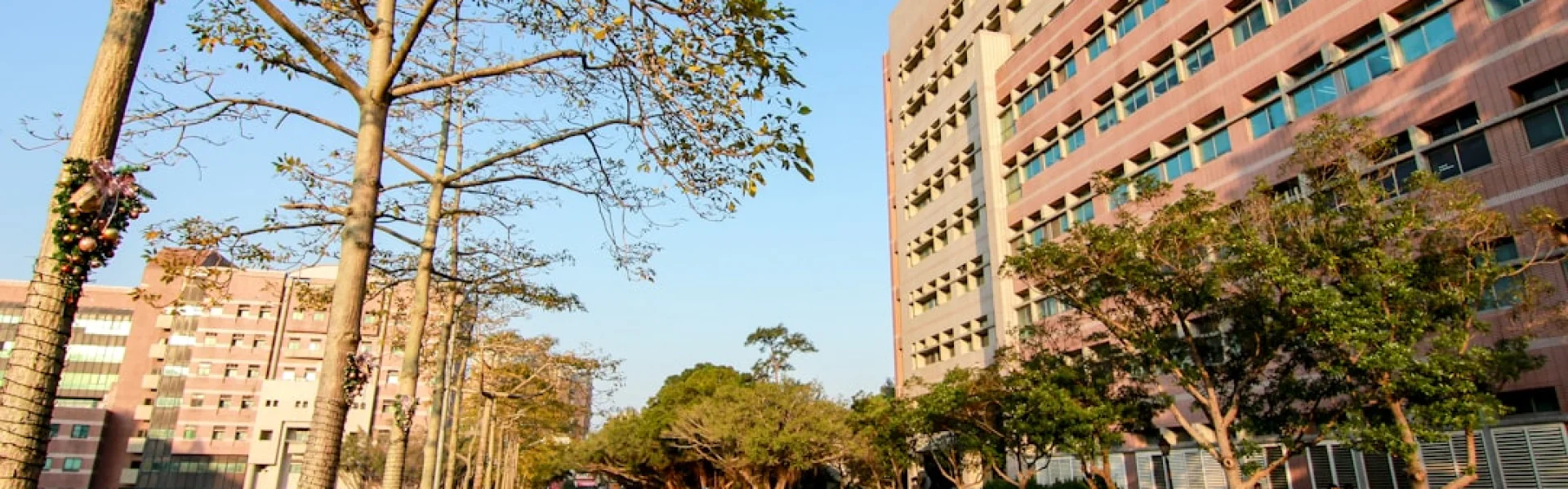 国立清华大学