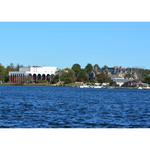 Dowling College logo
