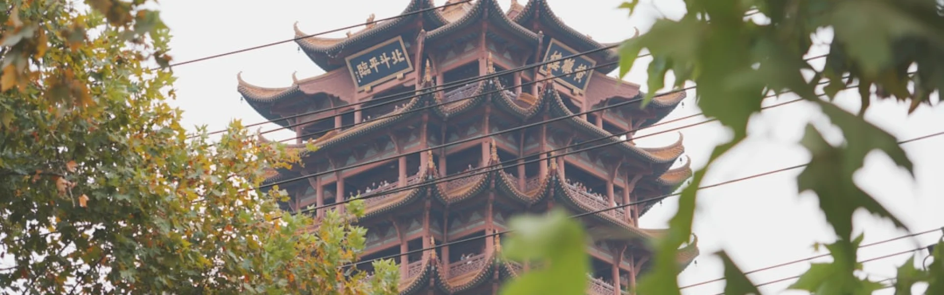 Hubei University of Chinese Medicine