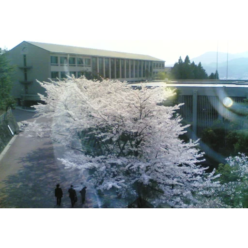 京都产业大学