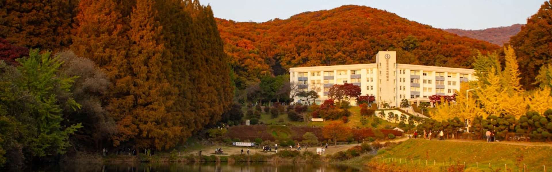 Our Lady of the Lake University