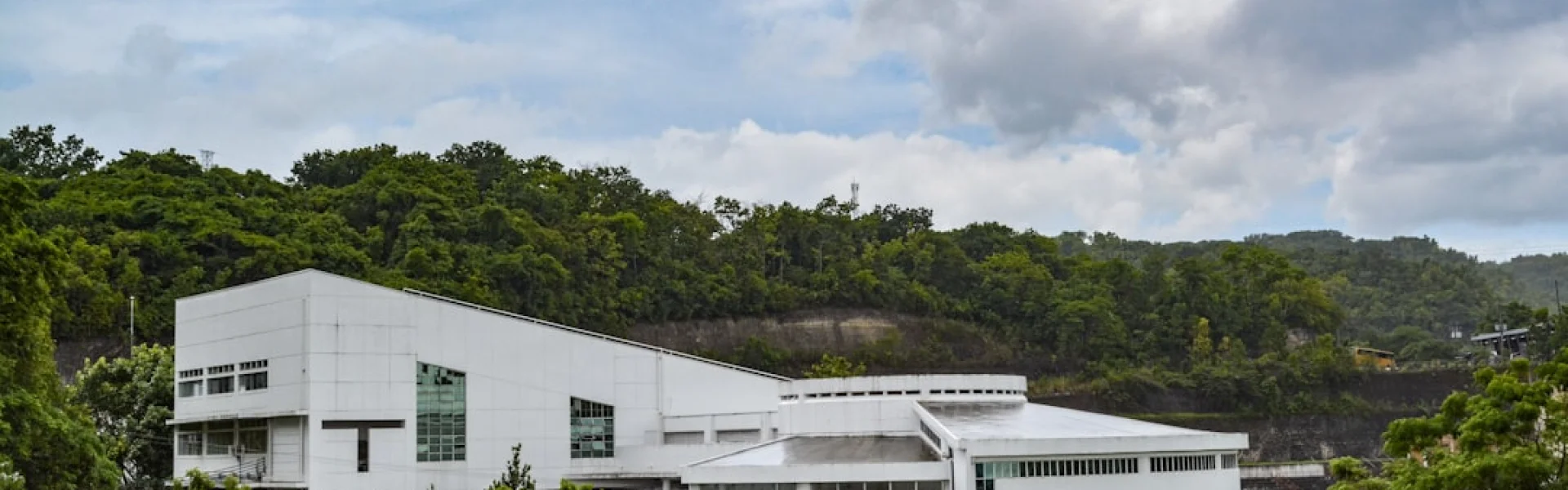 圣卡洛斯大学