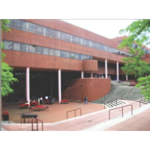 York College, City University of New York logo