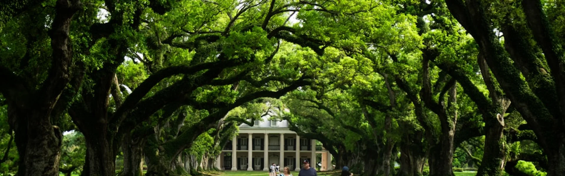Louisiana State University System