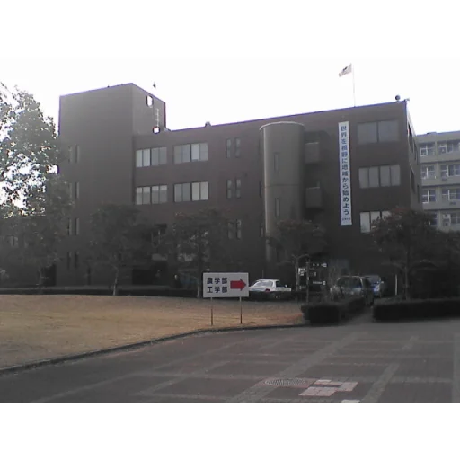University of Miyazaki