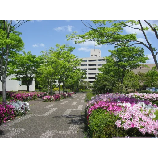 兵库教育大学