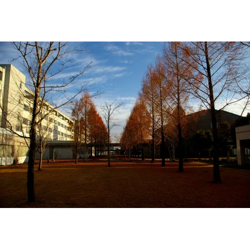 国际医疗福祉大学