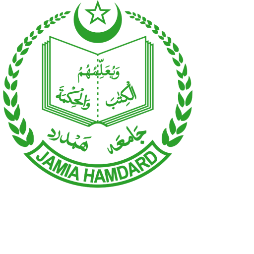 贾米亚·哈姆达德，新德里 logo