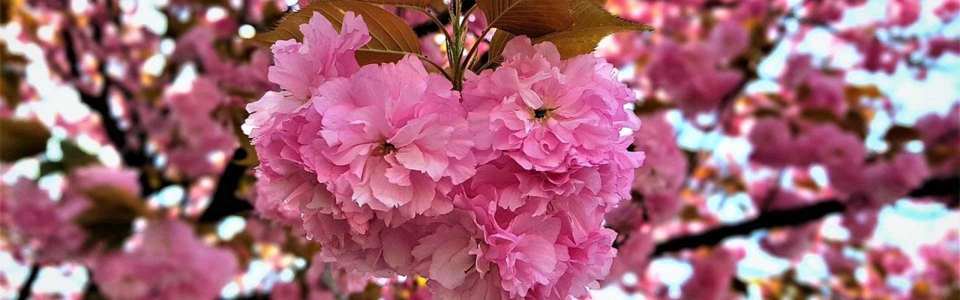 全州大学