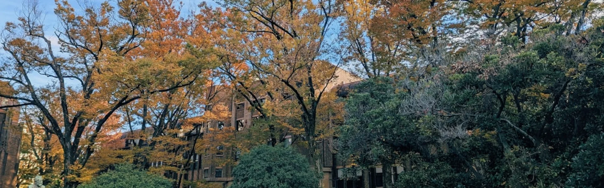 十月六日大学