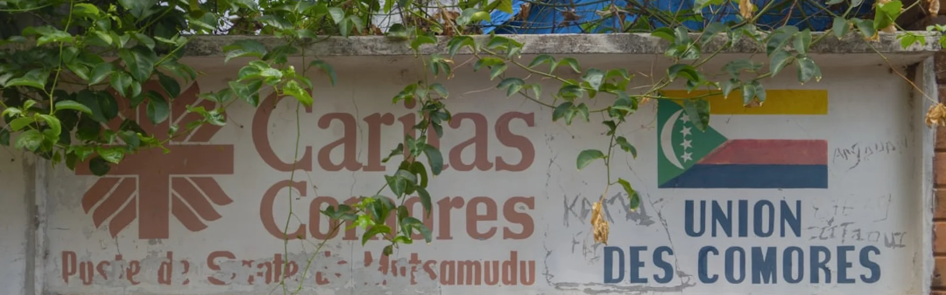 Universidade Estadual do Centro-Oeste