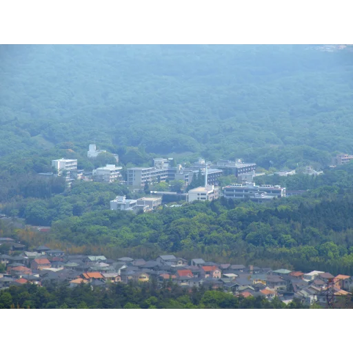 大分大学