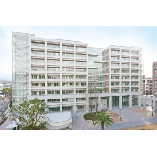 摄南大学