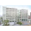 摄南大学 logo