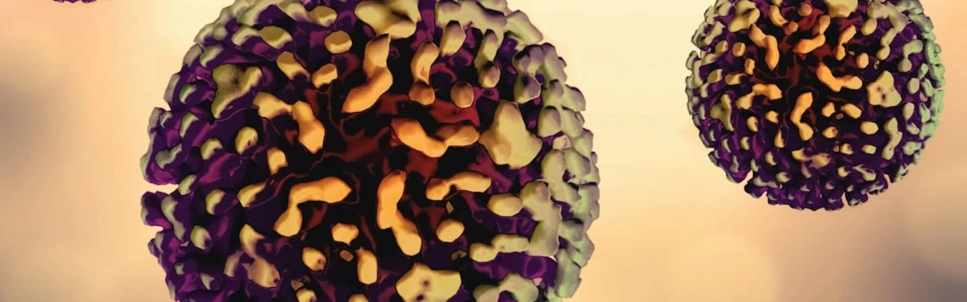 Clinical Immunology Society