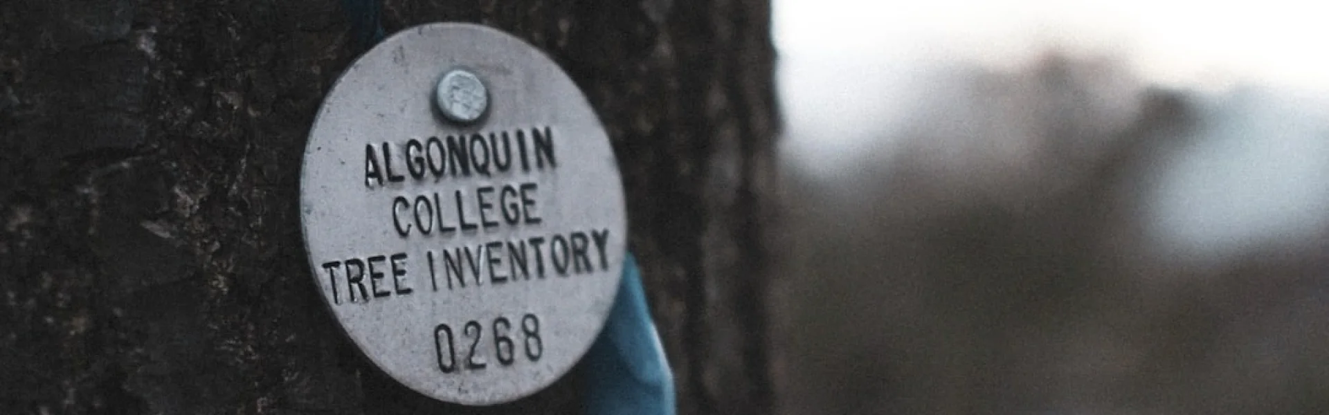 Algonquin College