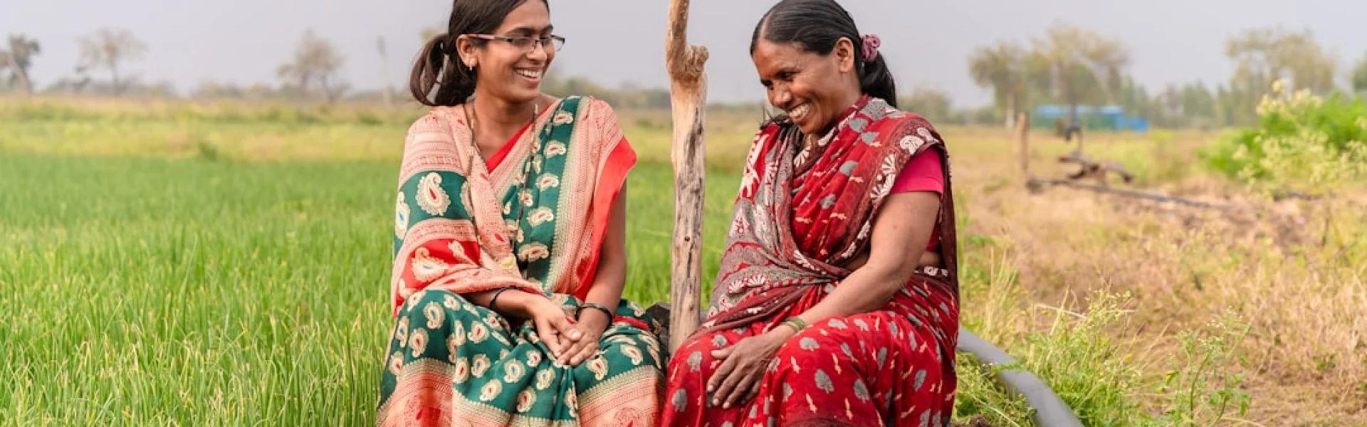 Communicating for Agriculture Education Programs