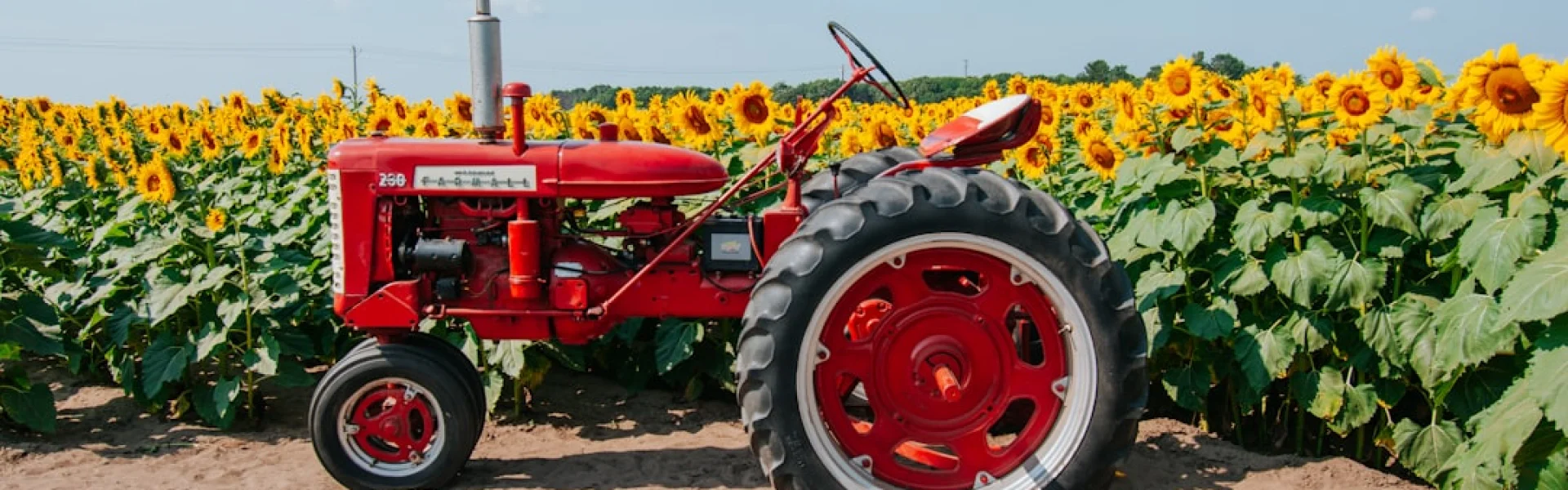 Minnesota Agriculture in the Classroom Foundation