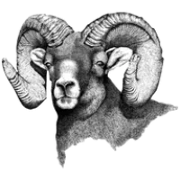 South Routt School District logo