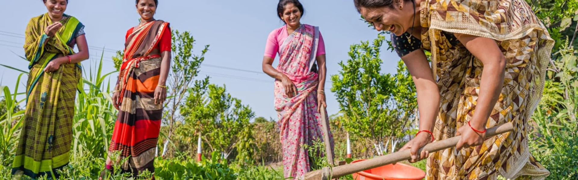 Women’s Environmental Institute