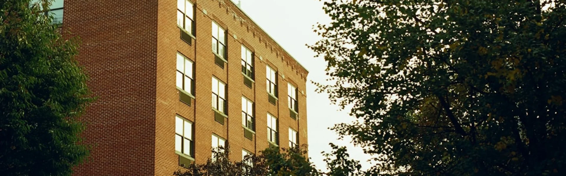 Brooklyn Technical High School