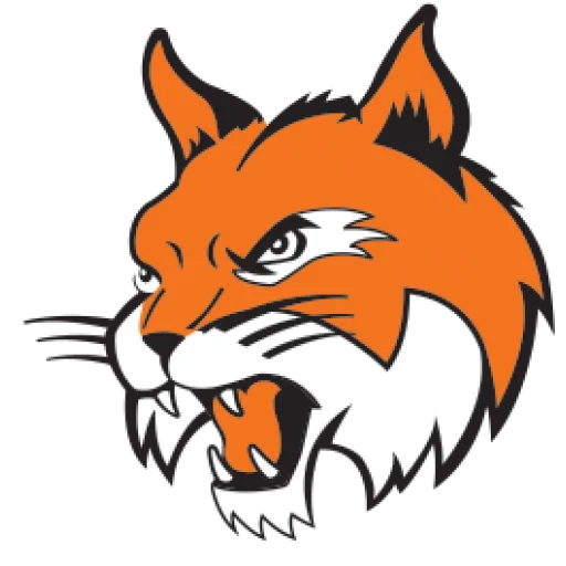 Northeastern School District logo