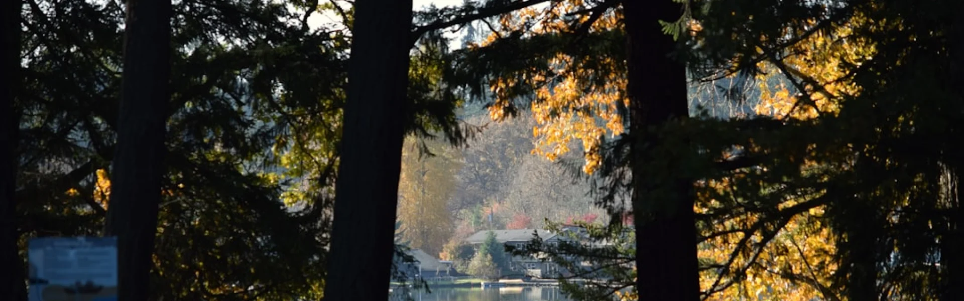 College of Lake County