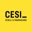 Centre d'Etudes Superieures Industrielles logo