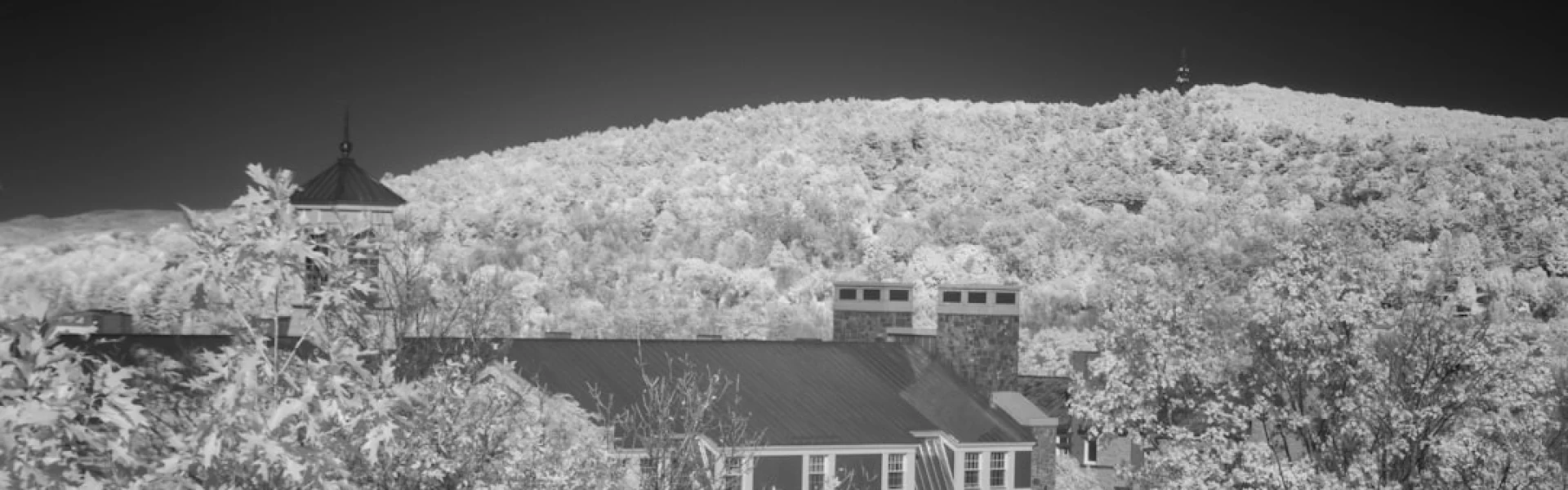 New England College