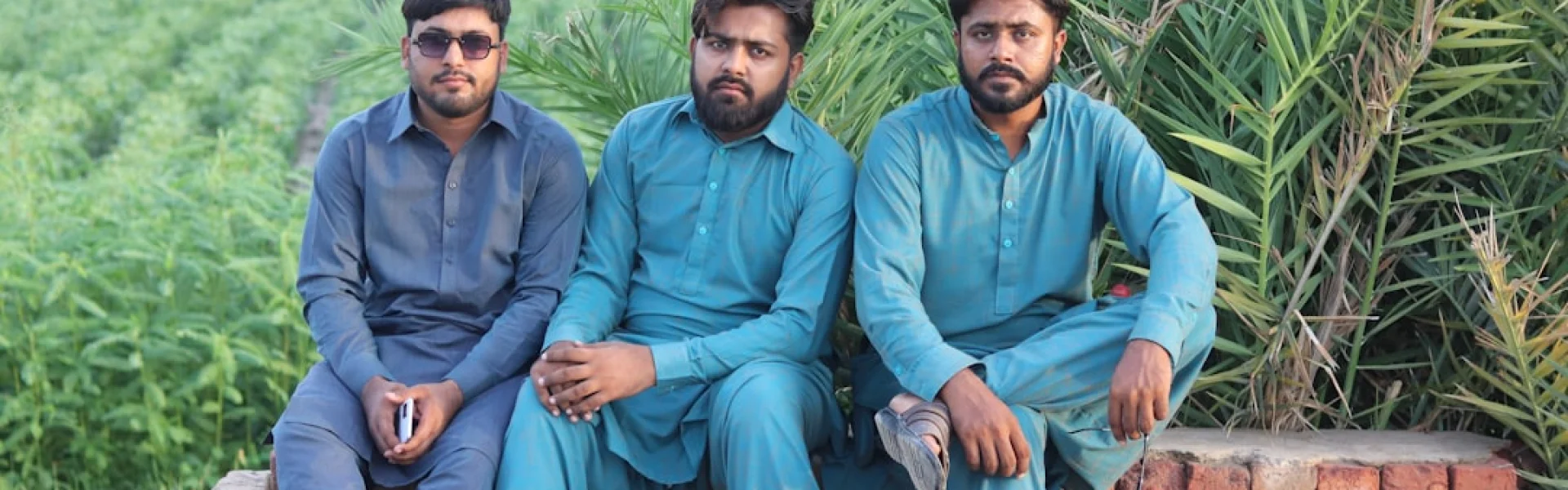 Pir Mehr Ali Shah Arid Agriculture University