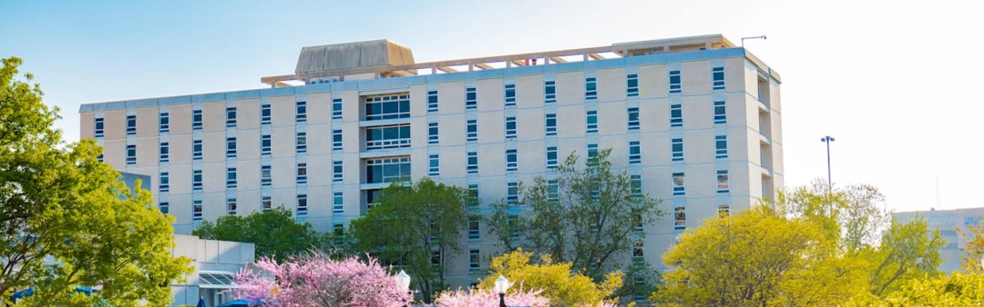 American Sentinel University