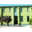 Metropolitan University of Technology logo