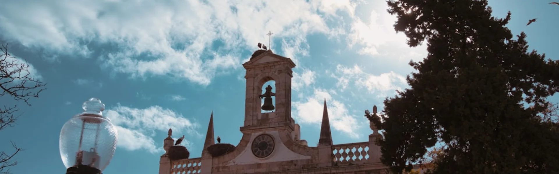 Universidade São Judas Tadeu