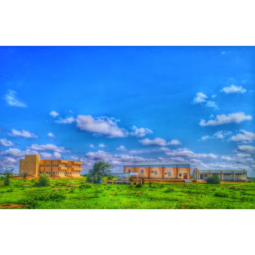 University of Nyala
