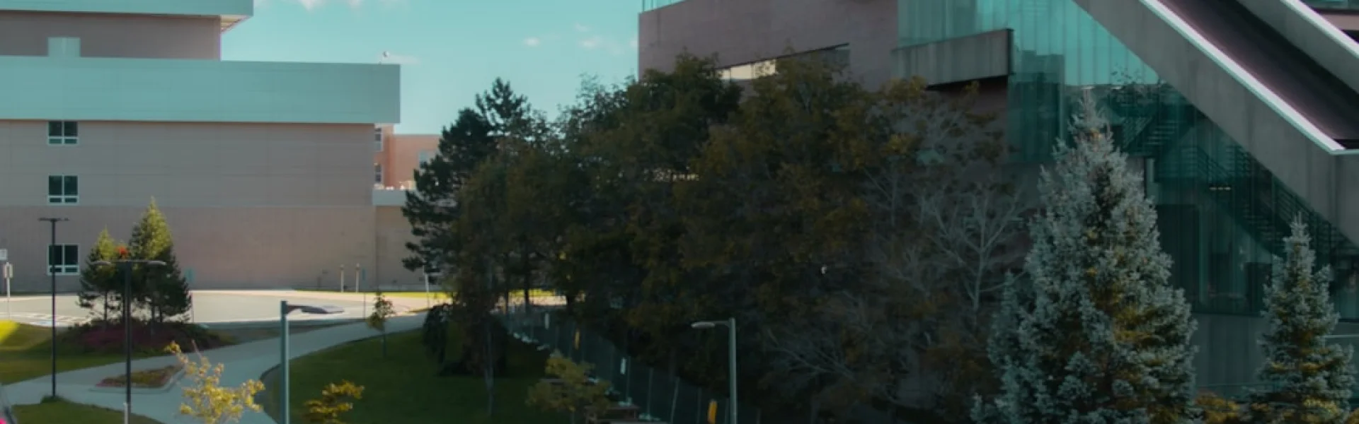 Ahram Canadian University