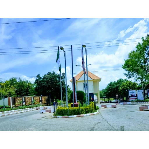 尼日利亚美国大学