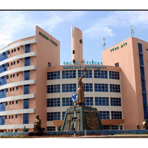 Bahir Dar University logo