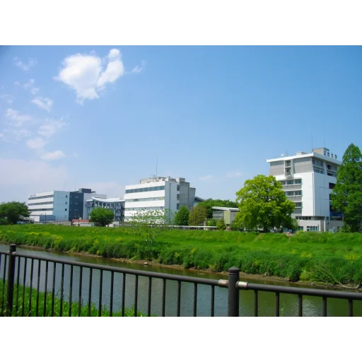 文教大学