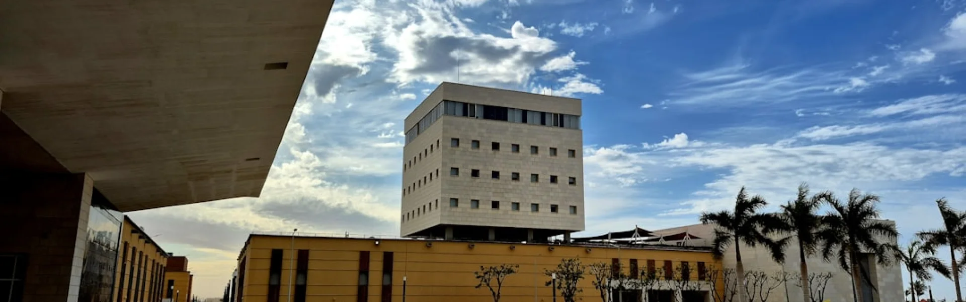 Nueva Vizcaya State University
