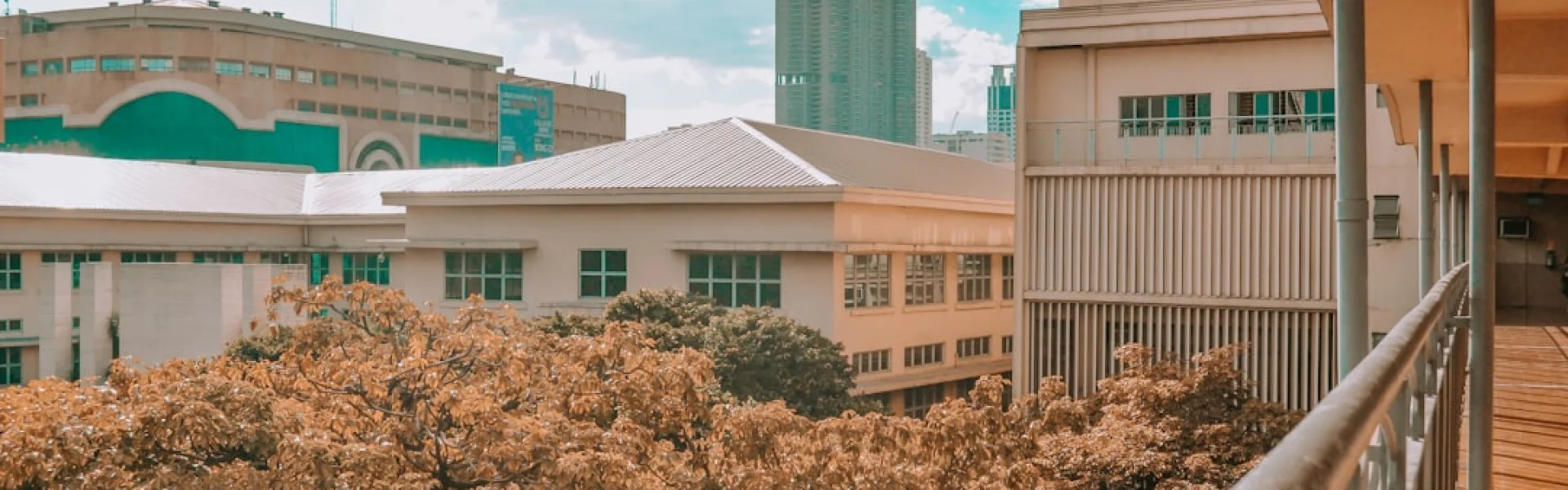马尼拉中央大学