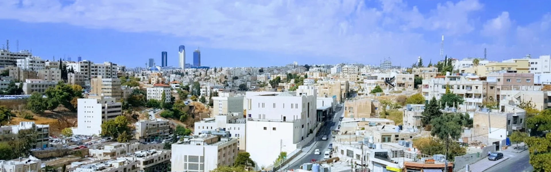 Amman Arab University