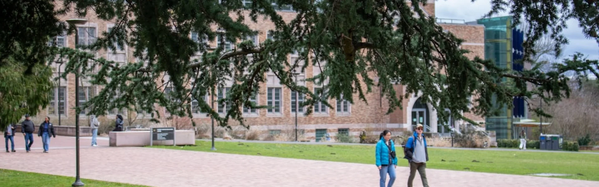 International College of Applied Kinesiology-USA