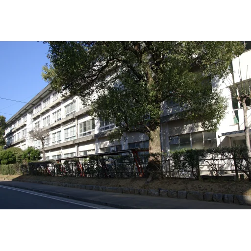 University of Kochi logo