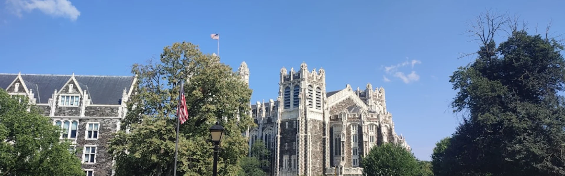 樱美林大学